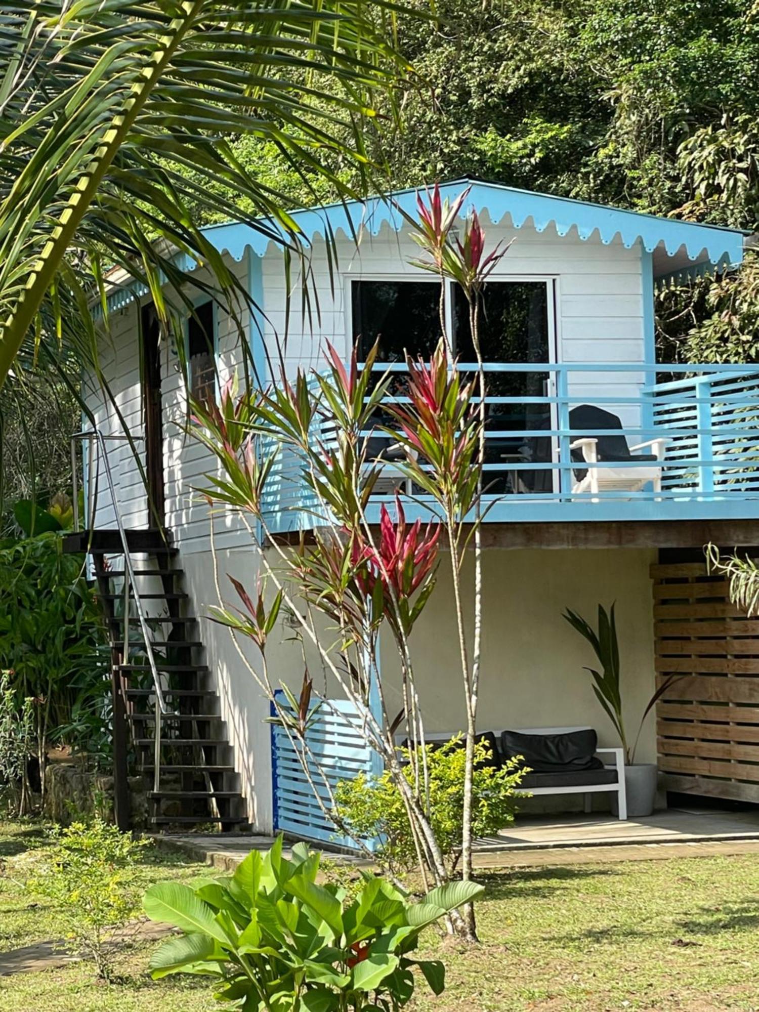 Dolphin Blue Paradise Bocas del Toro Exteriér fotografie